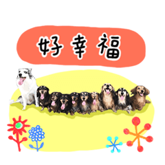 我的臘臘寶貝
