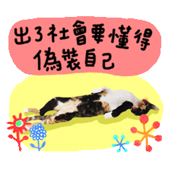 阿屁股