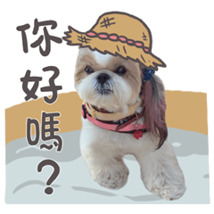加蛋的家人