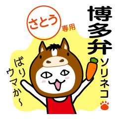 Sorineko the Cat in Hakata for SATO.