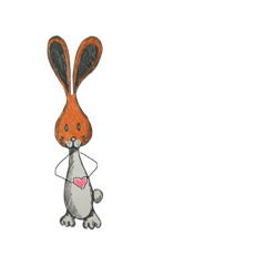 一只兔子