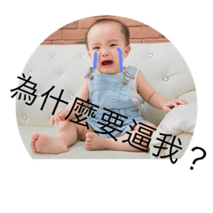 宗宗