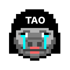 MY NAME TAO