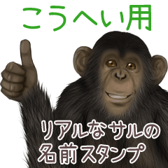Kouhei Monkey's real name Sticker