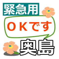 Emergency25[okushima]name Sticker