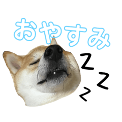 Shibainu Rinchan Stamp