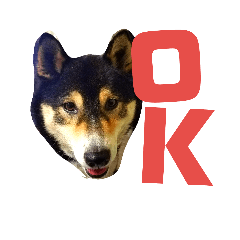 Cute SHIBA Stamps