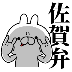 tanuchan Saga rabbit