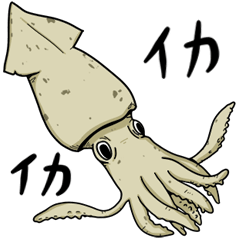 The squid is actually cute (JPN)