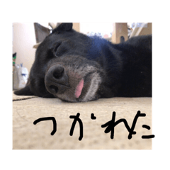 yanchakurokun