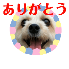 malupome