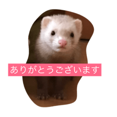 COCO! Love&Peace