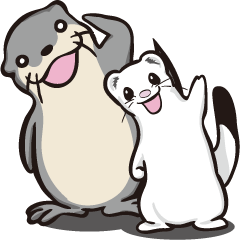 Otter and Ermine