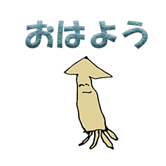 Polite japanese squid