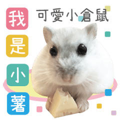 Cute hamster-Small French fries.