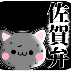 tanuchan Saga cat