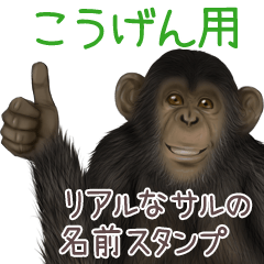 Kougen Monkey's real name Sticker