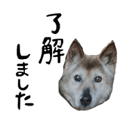 ikedasanchi2