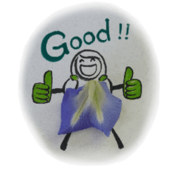 Little One of Butterfly Pea flowers-3