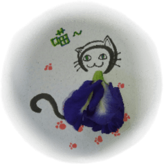 Little One of Butterfly Pea flowers-4