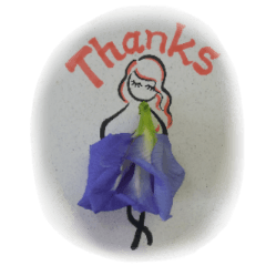 Little One of Butterfly Pea flowers-5