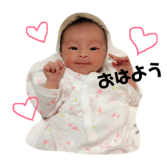 aoidayo