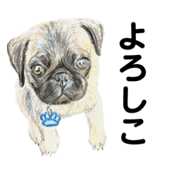 Cooper and Friends Sticker(Japanese)