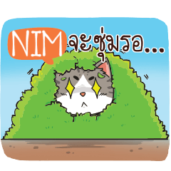 NIM cheeky cat e