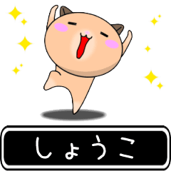 Syouko only cute high speed Sticker