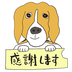 Keiko's beagle dog