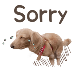 臘腸kuku爽爽過生活