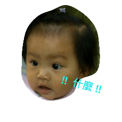 z-dm