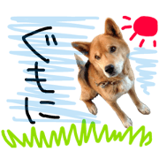 jonta 2