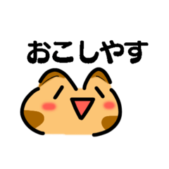 かわいい顔文字なネコたち（関西弁）