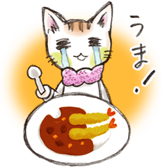 Traveling cat and curry