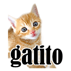 Cute cat photo stamp Spanish version
