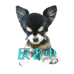 チワワのちくわとのんちゃんの日常会話 1 Line スタンプ Line Store