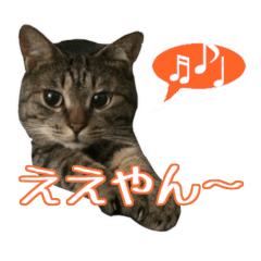Sirinya2