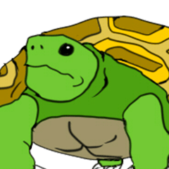 Facial Palsy turtle