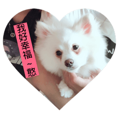 You are so cute