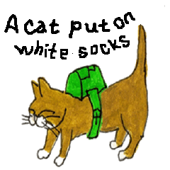 a cat put on white socks