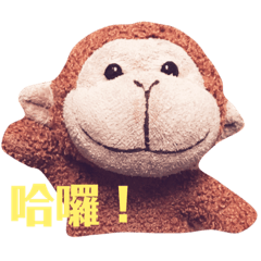 Monkey TangTang
