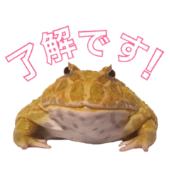 frog_stamp_sy