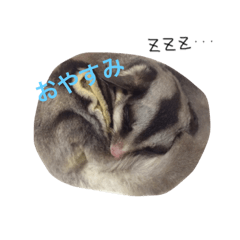 SanbikinoHukumomoSutanpu