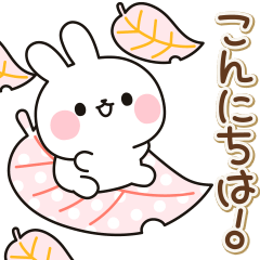 Reaction various rabbits