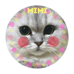 mimimi meow