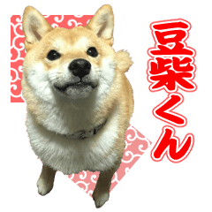 豆柴くんスタンプ Line スタンプ Line Store 豆柴くんスタンプ Line スタンプ Line Store