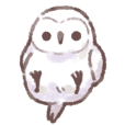Small fluffy owl
