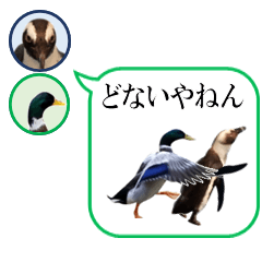 鶴橋のペンギン×尼崎のカモ【実写アニメ】