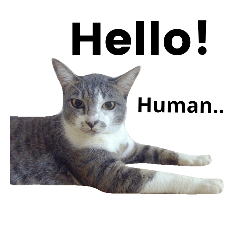 Hello human!